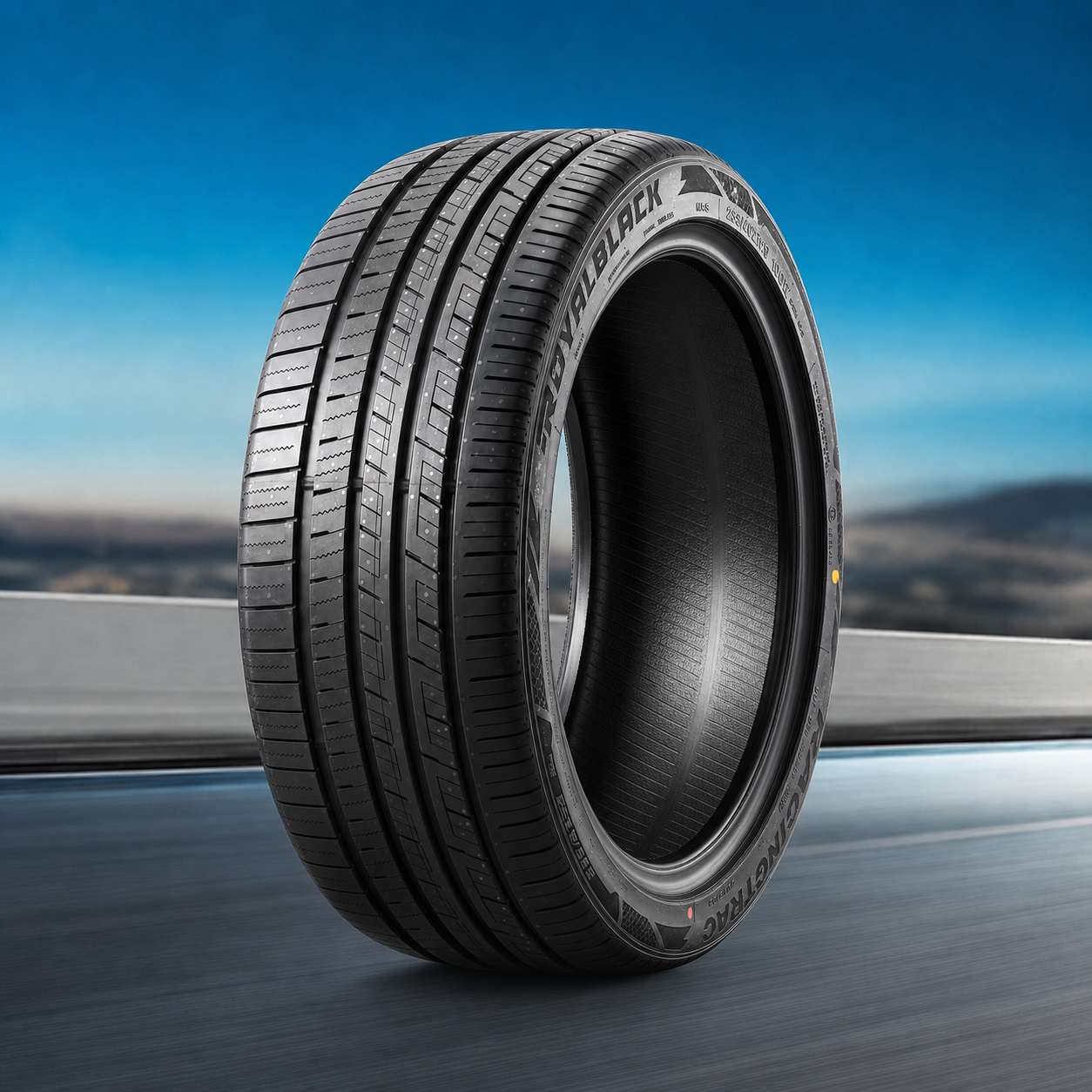 Tire 255/40 ZR19 100W