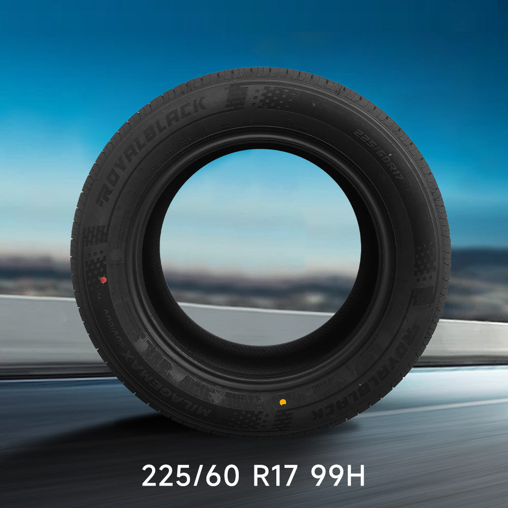 Tire 225/60 R17 99H